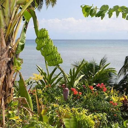 Coconut Grove Beachfront Cottages Matei Exterior photo